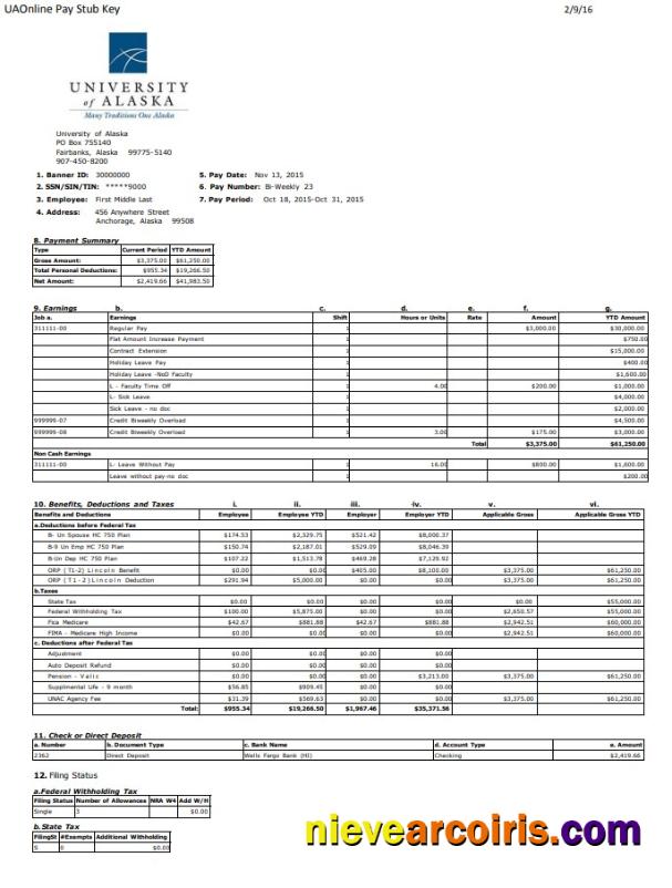 University of Alaska pay stub